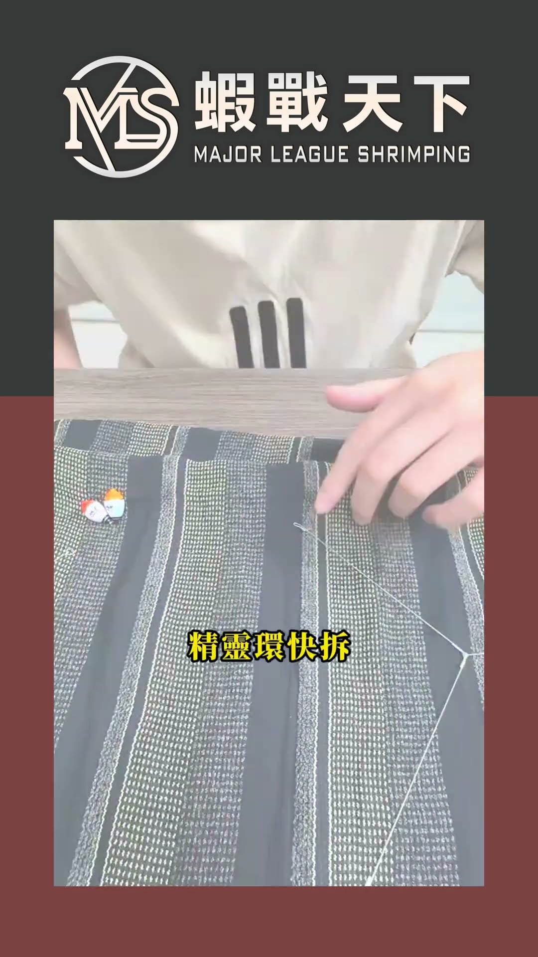 SPEED競速天平介紹【MLS蝦戰天下】