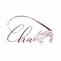 CHA星光盃雙人對抗賽