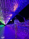 小希隊
