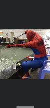 小雷