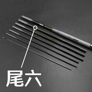 蝦戰Performance - 尾六